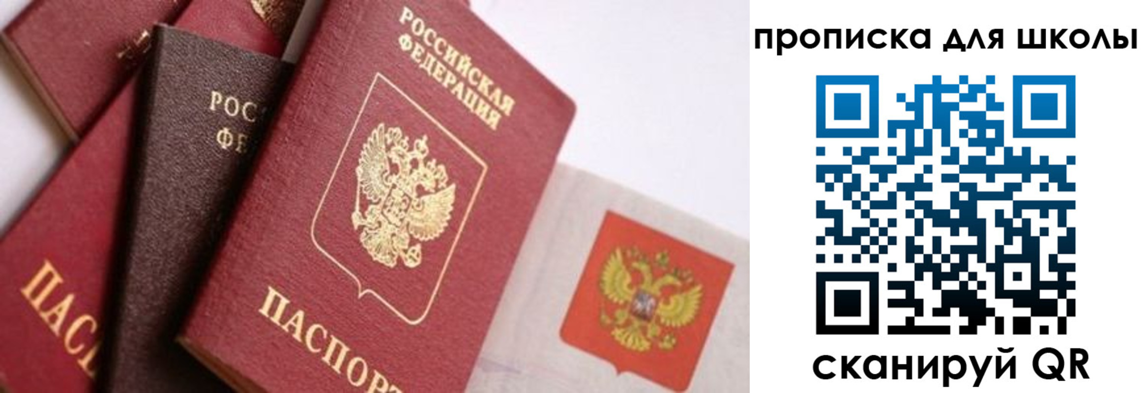 прописка поиск в Элисте